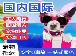 龙洞堡空运国际宠物托运 【国